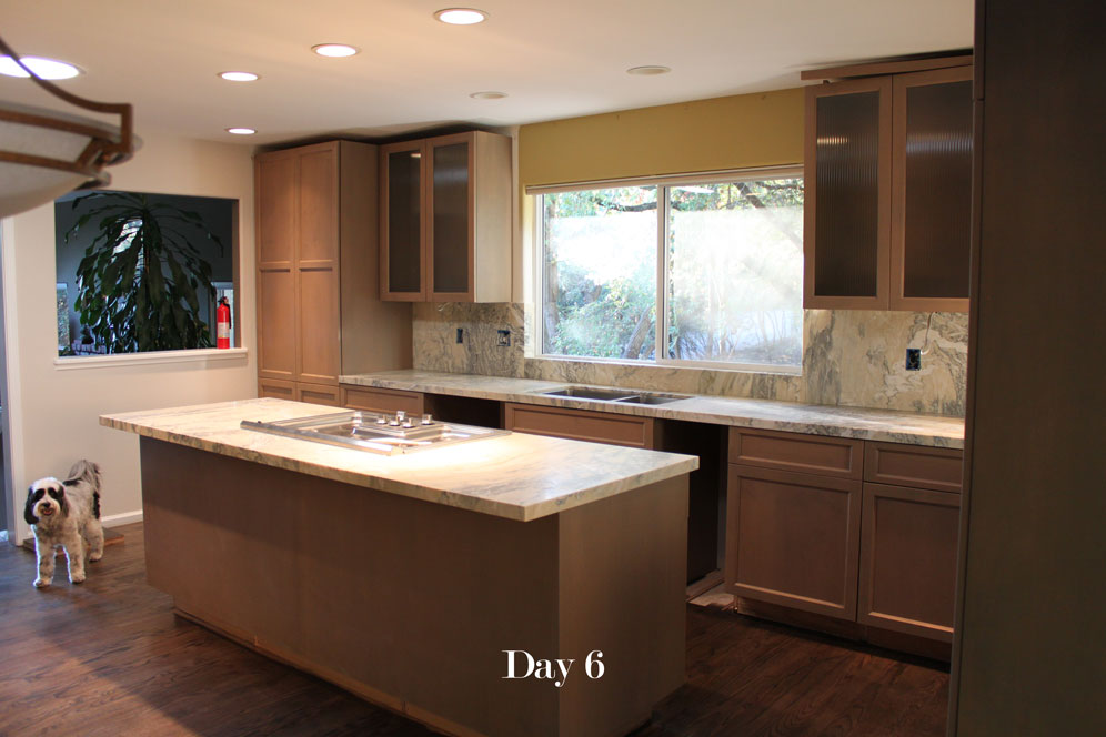 Day6